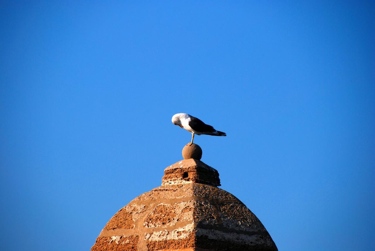 Apartamentos La Caleta De Cádiz Buitenkant foto